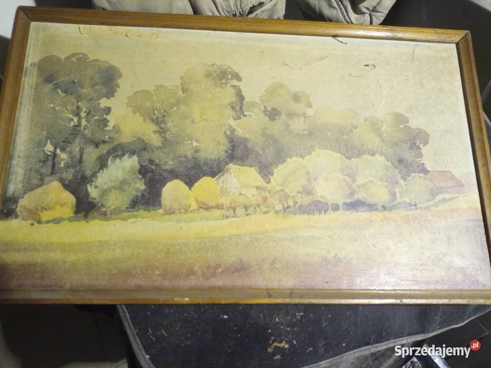 Wiktor Zana Antyki, Sztuka, Kolekcje dolnośląskie Legnica