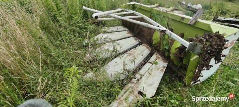 Przystawka heder Claas Jaguar 6 rzędowy Claas warmińsko-mazurskie Szczytno sprzedam