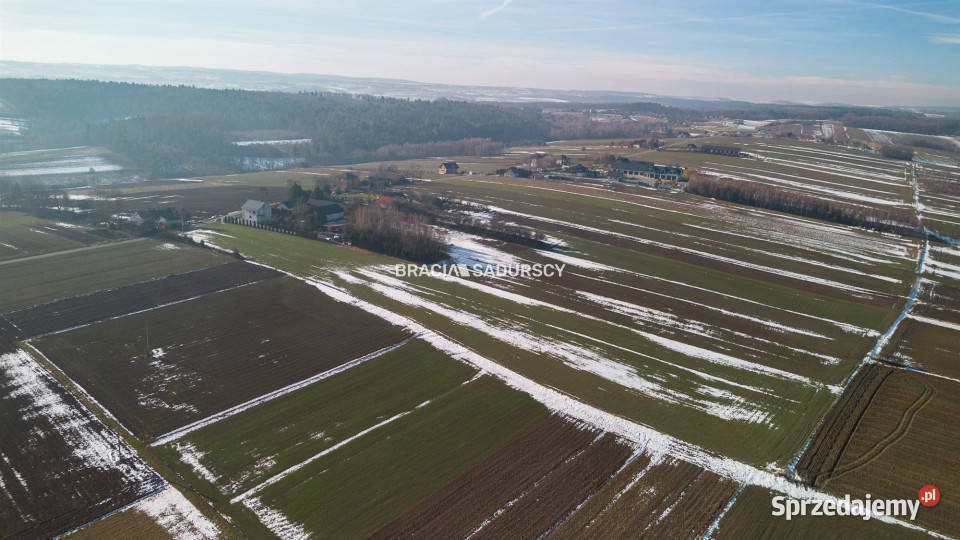 Grunt 15000m2 Gołyszyn