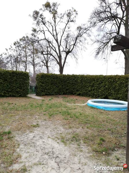 Sprzedam działke ogrodniczą wejherowo prąd