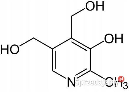 Witamina B6 Vitamine B6 Pirydoksyna 10g Pozostałe Łódź