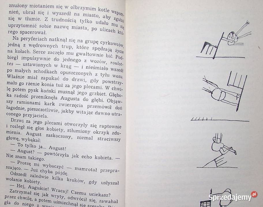 x L Uśmiech u stóp drabiny Miller Warszawa sprzedam