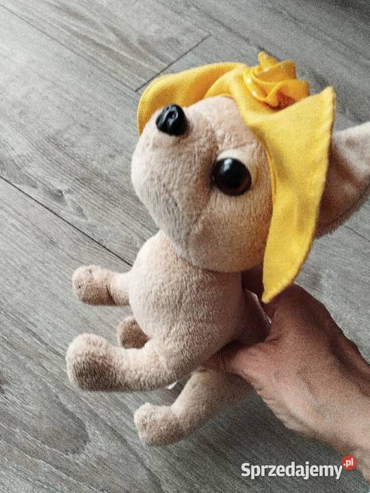 piesek chi chi love pluszak maskotka Poznań sprzedam