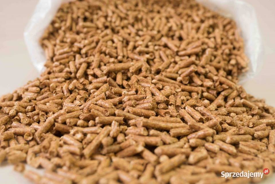 Pellet Sylva 6mm 100 z drewna sosnowego Złocieniec