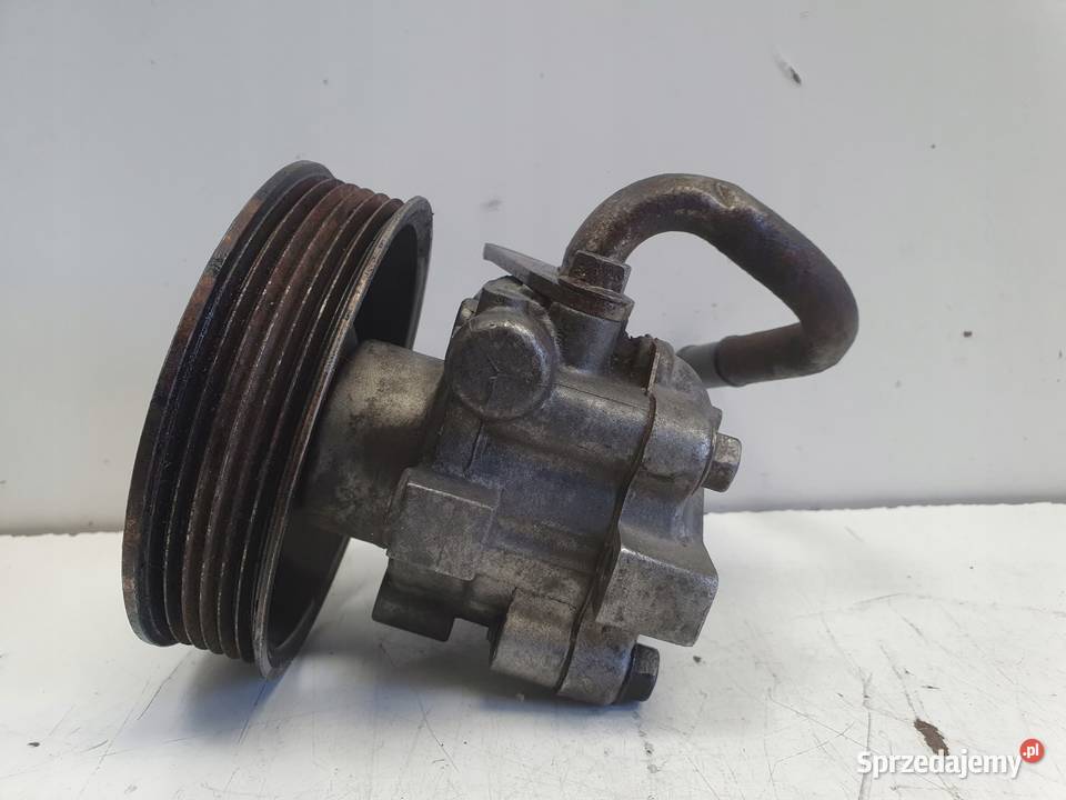 Hyundai Trajet 20 CRDI POMPA WSPOMAGANIA osobowe Rudka