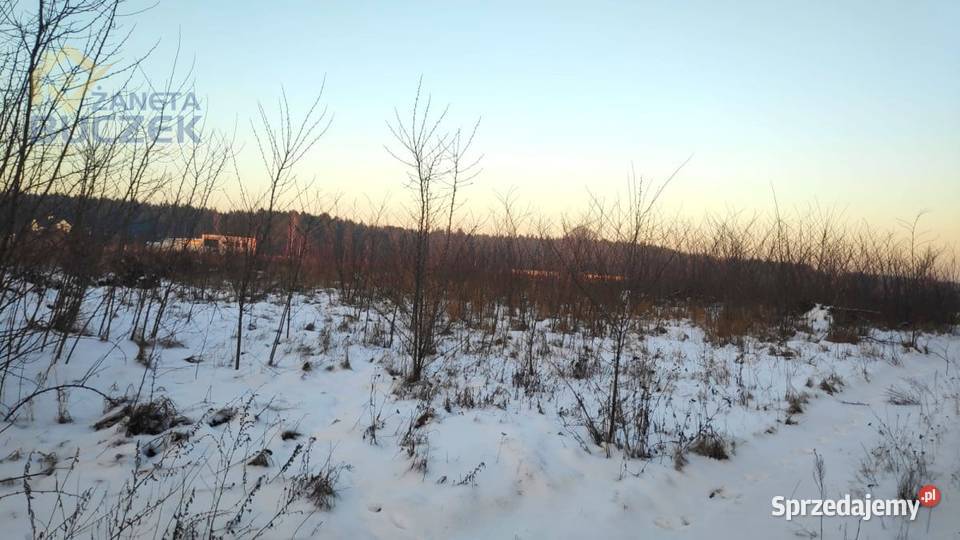 Sprzedam działkę inwestycyjną 482 ha w Brochowie Brochów sprzedam