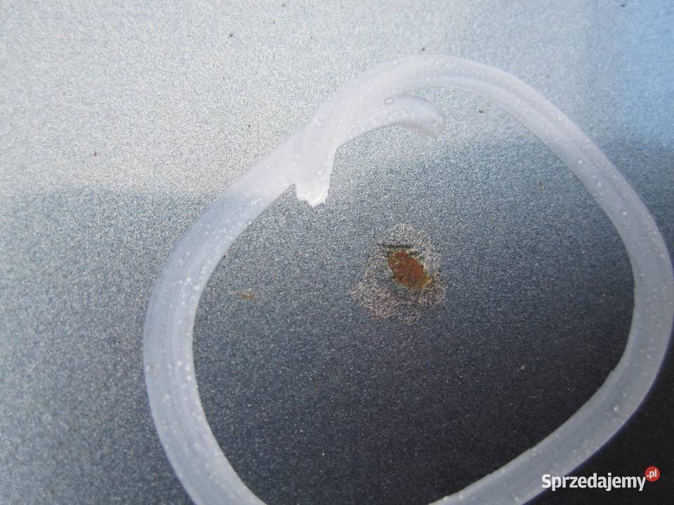 BMW Z3 99r drzwi prawe przód