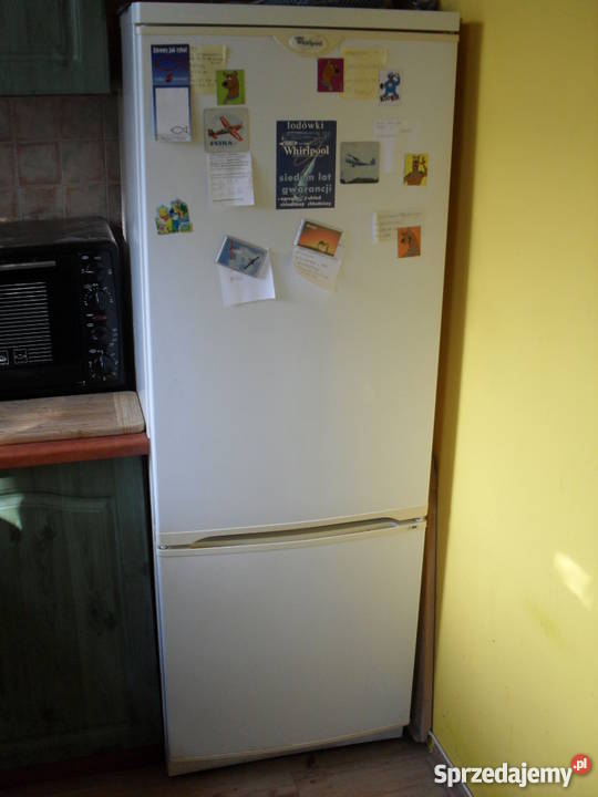 Lodówka Whirlpool CB290W kujawsko-pomorskie Włocławek