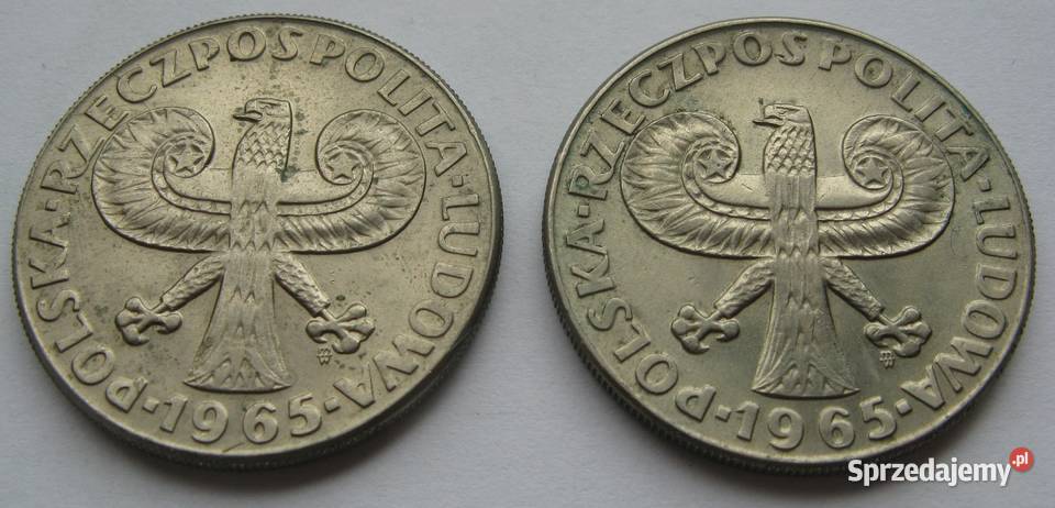 10 Kolumna Zygmunta 1965 Duża inne 10 Kolumna Kolekcje Dąbrowa Górnicza