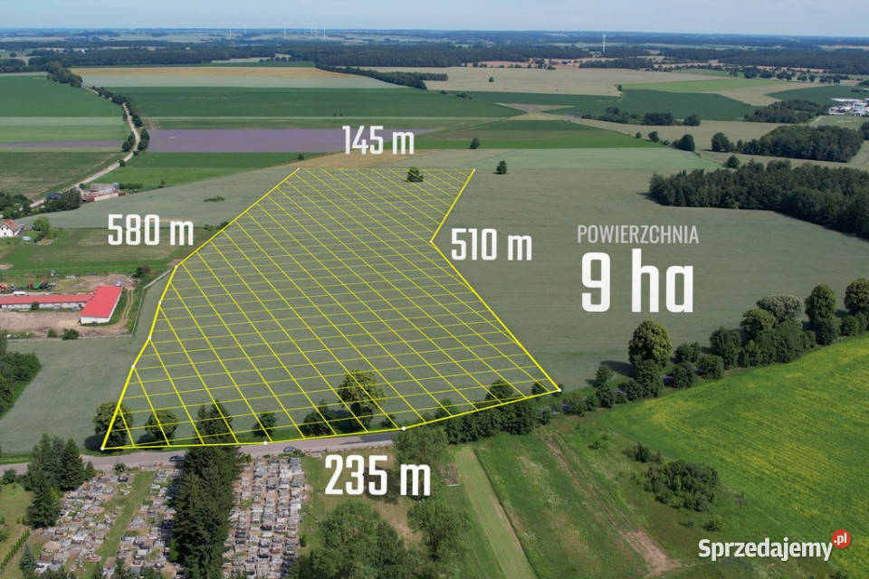 901 ha MPZP produkcja logistyka 1 S7 Białuty