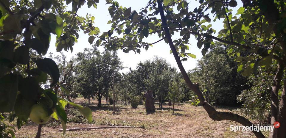 Siedlisko z domem Grunty i działki mazowieckie