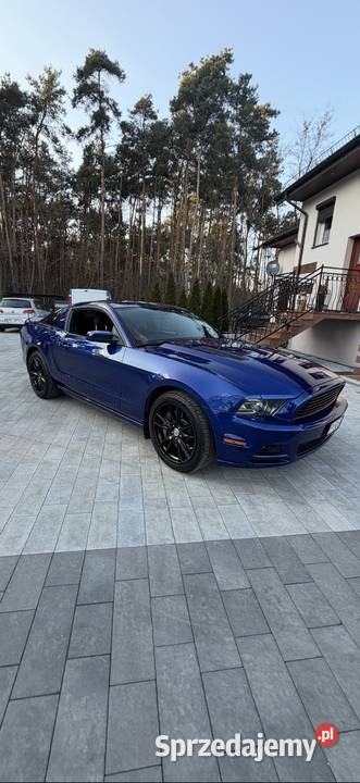 Ford Mustang GT V8 50 Gizałki