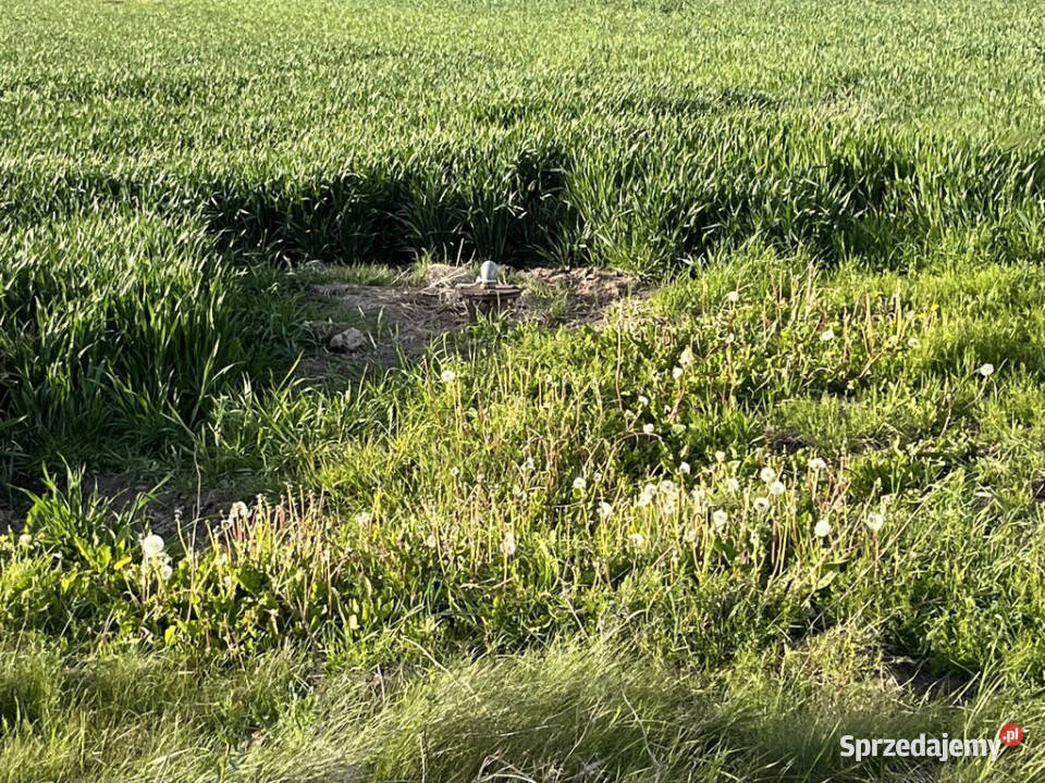 Działka 14816 m2 z WZ w gm Przyłęk pow Zwoleń budowlana mazowieckie Grabów nad Wisłą