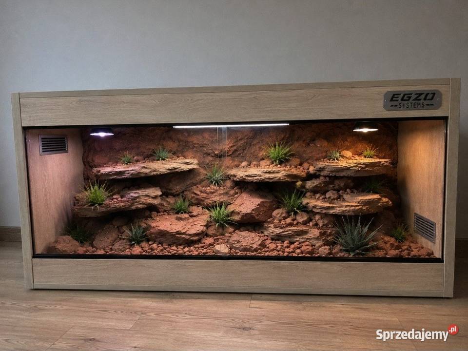 Terrarium pustynne żółwia greckiego agamy