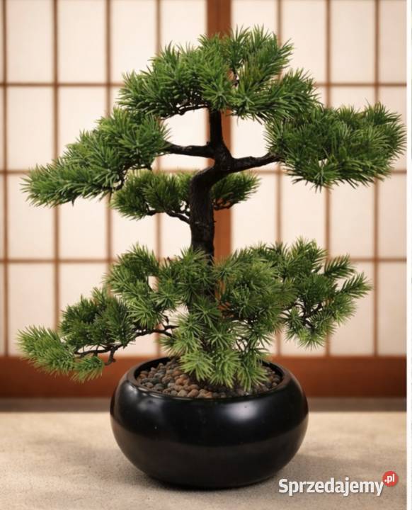 Sztuczny Modrzew Bonsai Larch 60 w ceramicznej sprzedam