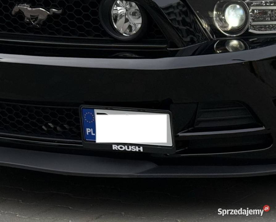 Uchwyt rejestracji Mustang wielkopolskie Poznań