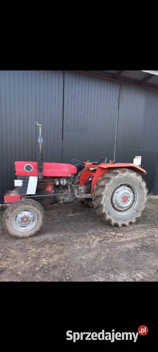 Ciągnik ferguson ursus zetor Gąbin