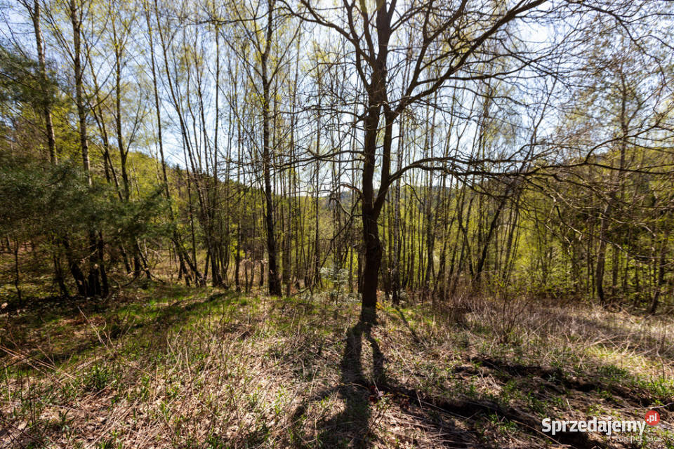 Na sprzedaż gospodarstwo rolne w Jastrzębi sprzedam