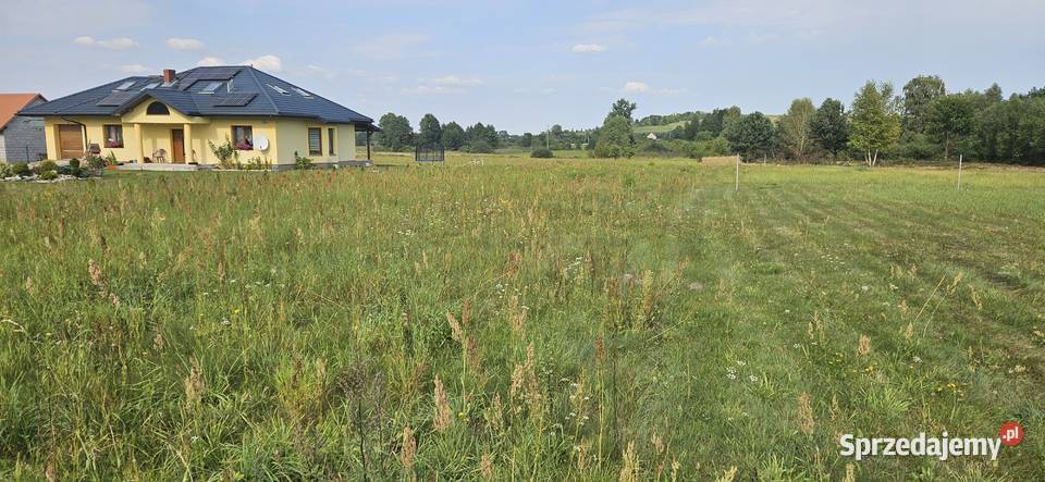 Udział 12 nieruchomości niezabudowanej Borowiec świętokrzyskie Krasocin sprzedam