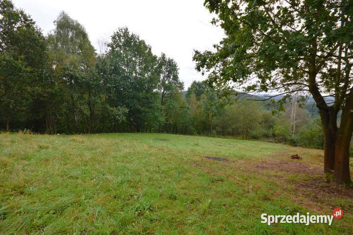 sprzedaży gruntu 12337m2 Nowy Wiśnicz