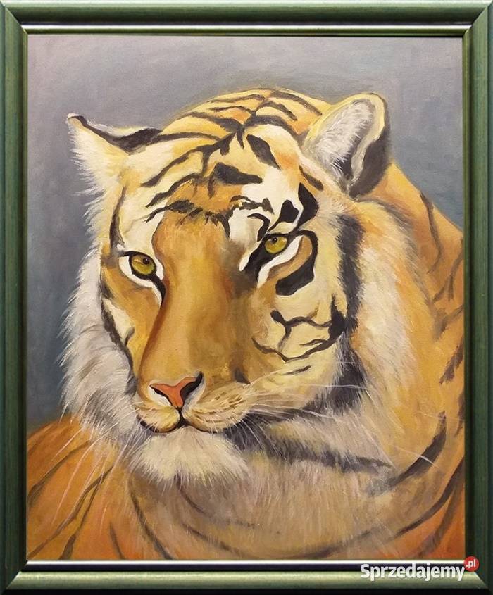 Obraz olejny Tygrys odcienie brązowego lubelskie Lublin sprzedam