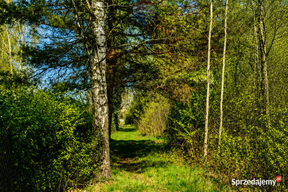 WYJĄTKOWA DZIAŁKA Z WZ 3204 m2 GRABÓW PILICĄ Grabów nad Pilicą