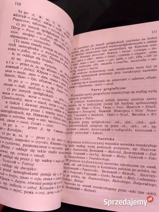 Zasady pisowni polskiej i interpunkcji słownik Warszawa