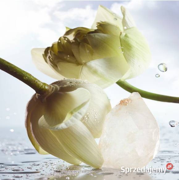 Perfumy męskie Bvlgari Rain Essence świeży Białystok