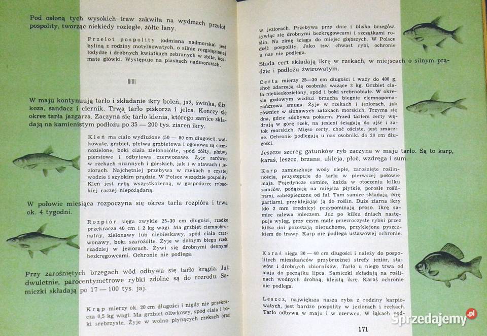 Kalendarz przyrody Henryk Sandner Zdzisława lubelskie Chełm