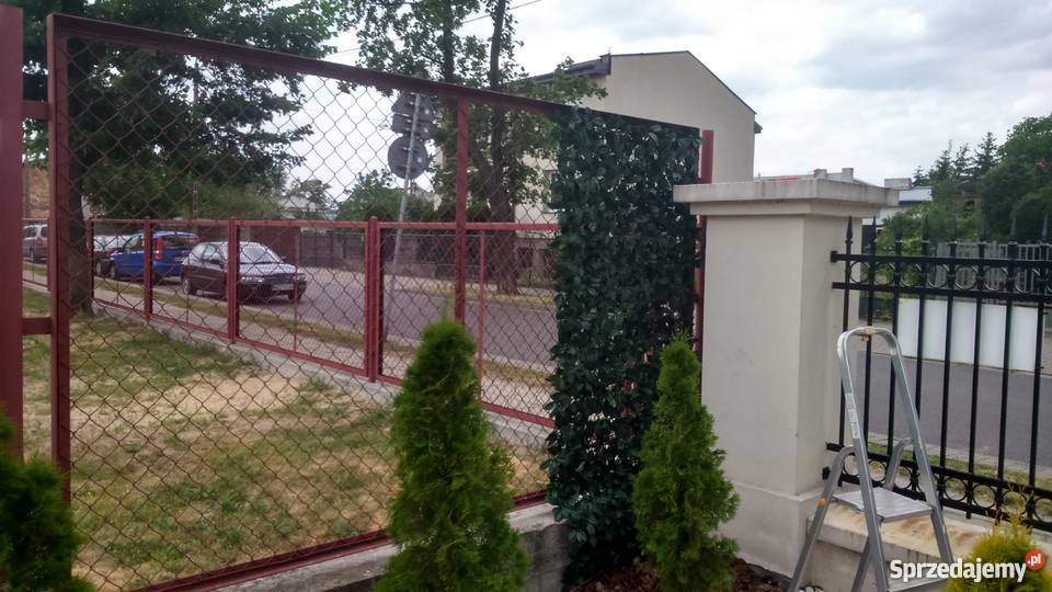 Zielone osłony balkonowe i ogrodzeniowe montaż Architektura ogrodowa Warszawa