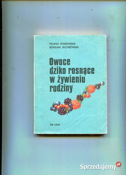 Owoce dziko rosnące w żywieniu rodziny