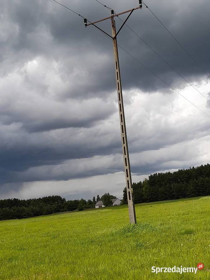 Działka rolna 15000 m2 Trzebień