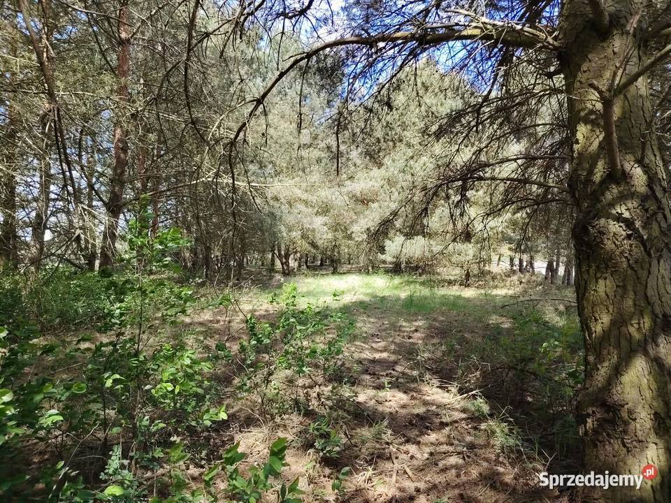 Działka na sprzedaż w Rychliku 83000m2 Rychlik
