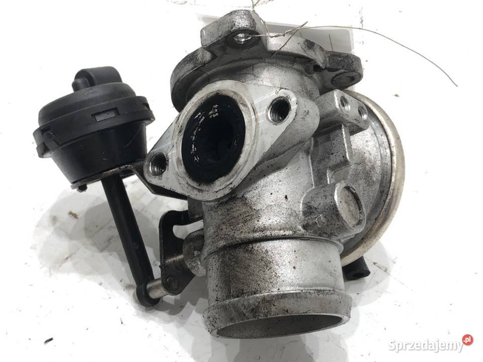 PRZEPUSTNICA AUDI A4 B6 EV076 19 116 0005 ZAWÓR