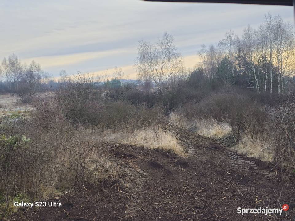 MulczowanieWgłębne Powierzchniowe Wycinka drzew