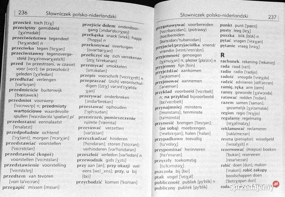 Rozmówki Niderlandzkie Last minute Beelen Hans Chełm