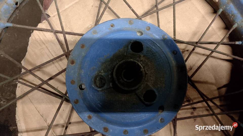 Koło jakwak kaczka Namysłów