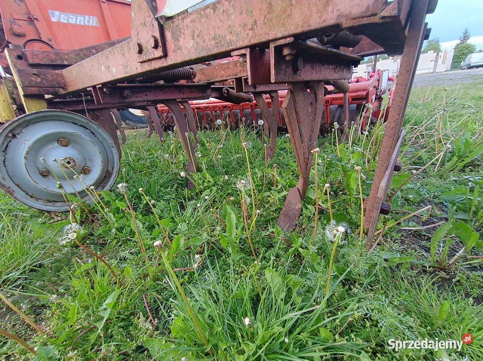 Na przedni TUZ 3m kultywator gruber agregat lubelskie Grabów Rycki