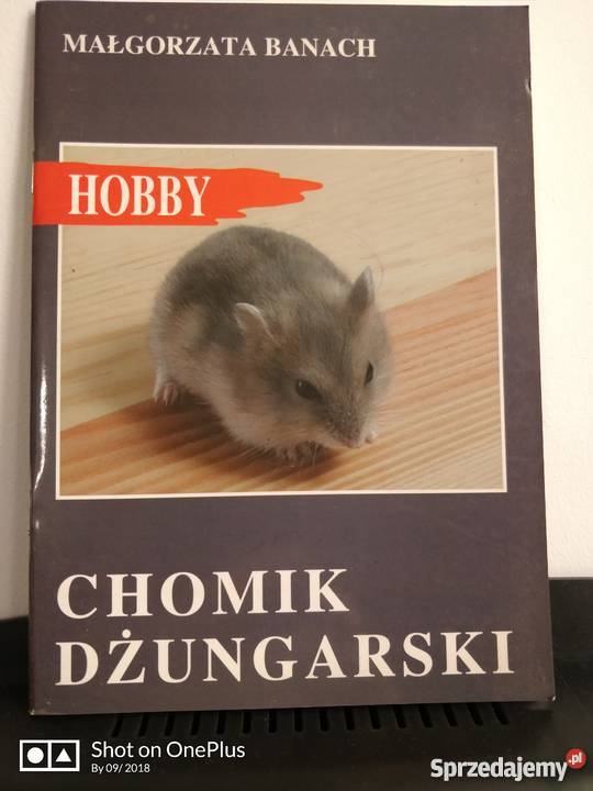 Książka zwierzęta Chomik Dżungarski Nysa