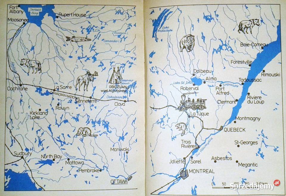 Ród Indian Algonkinów Fiedler Arkady i Marek lubelskie Chełm