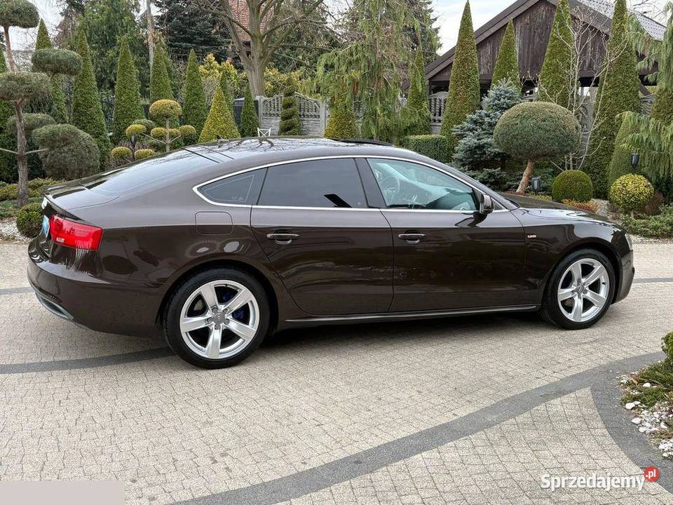 Audi A5 Sportback 20 TDI DPF 136 2013r Stan wielkopolskie Krotoszyn sprzedam