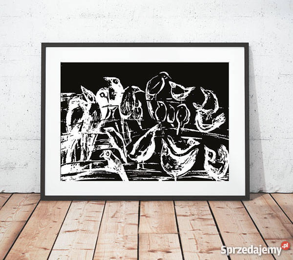 czarnobiały plakat do pokoju z ptaszkami czarny śląskie Katowice