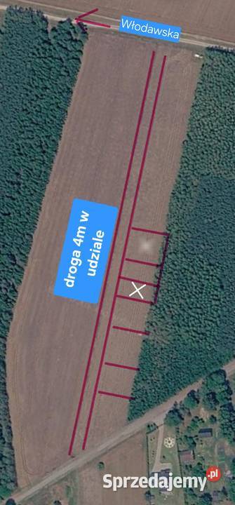 Działka rolna ogrodowa 600 m2 4 Parczewa lubelskie Parczew