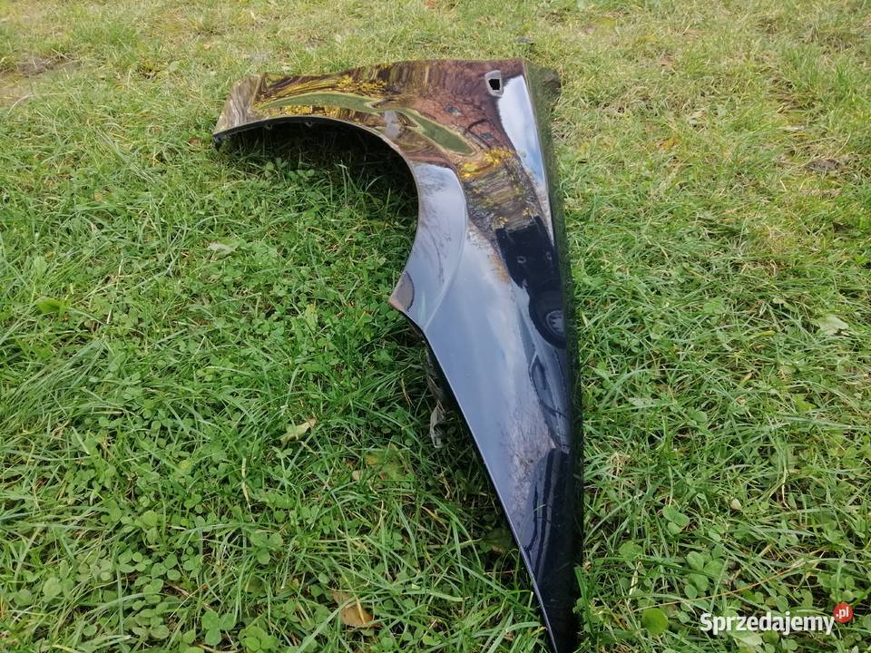 Bmw e87 błotnik prawy przód Monaco Blue Aleksandrów Łódzki