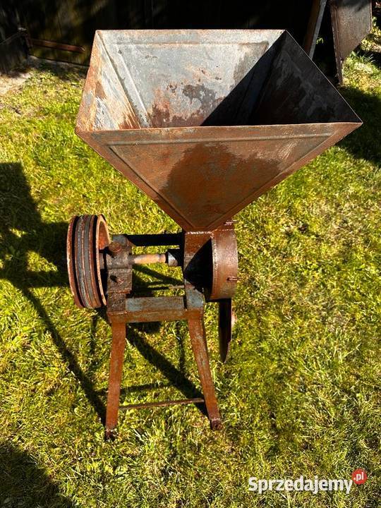 Śrutownik kujawsko-pomorskie Kruszwica