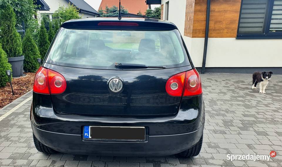 Volkswagen Golf 19 tdi 2007 oszczędny nieuszkodzony Golf
