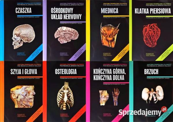 Anatomia Skawina 18 kujawsko-pomorskie Osięciny