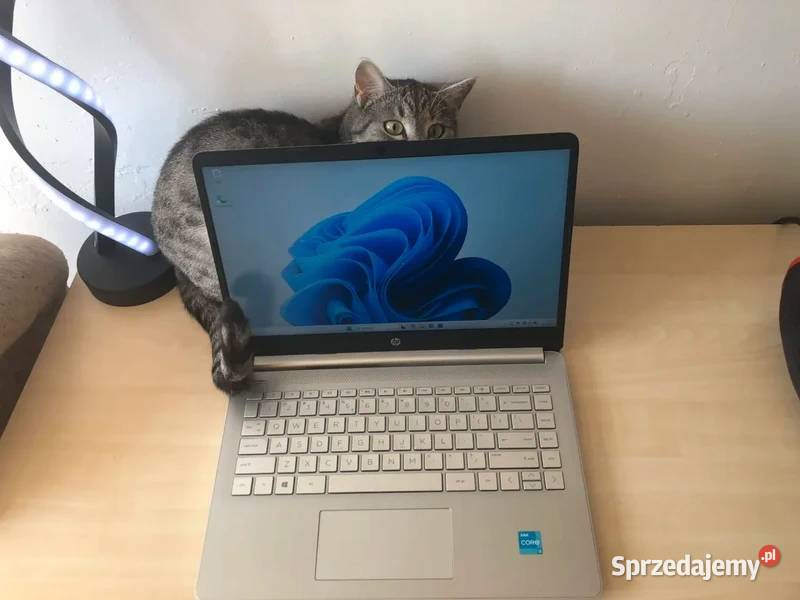 Laptop HP 14sdq2009nw HP/Compaq wielkopolskie Trzcianka sprzedam