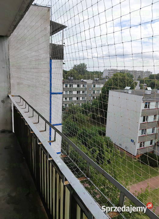 ZABEZPIECZENIA PRZED PTAKAMI z montażem Warszawa