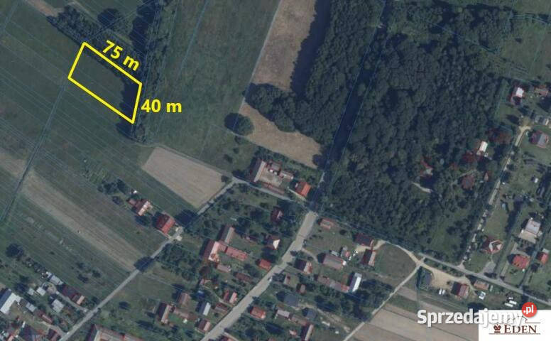 sprzedaży działki Domanice 2971m2 Sprzedaż mazowieckie
